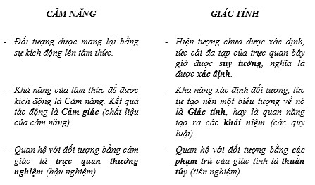 Phê phán lý tính thuần túy [kỳ 4]